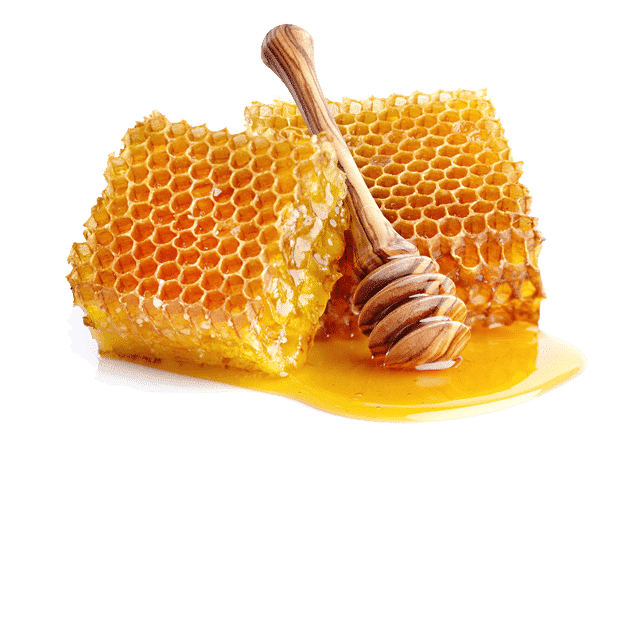 Organic Honey